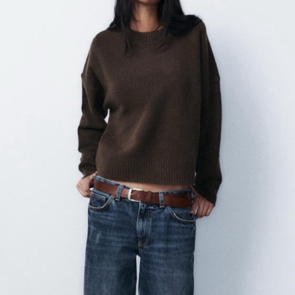 Zara Brown Crew Neck Sweater